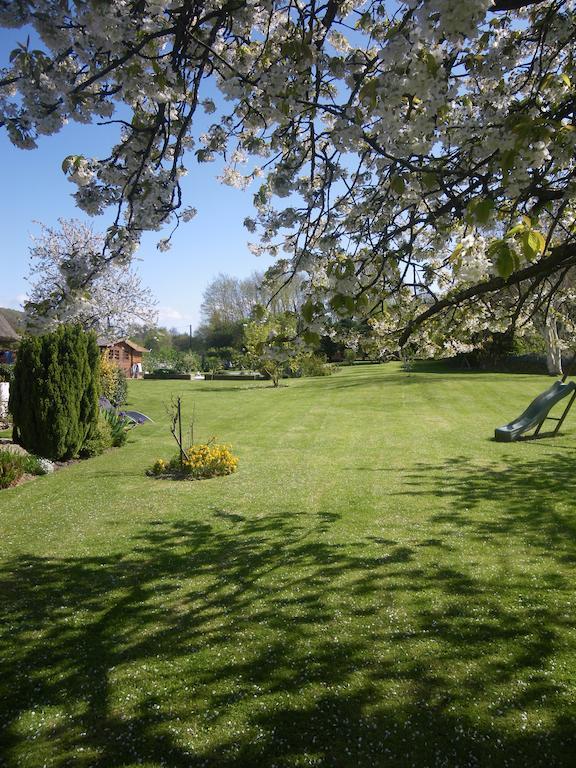 La Griotte & Spa&Piscine Pennedepie Eksteriør billede
